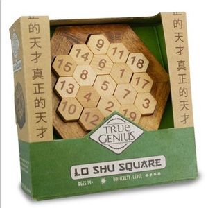 True Genuis | Lo Shu Square | Math Puzzle
